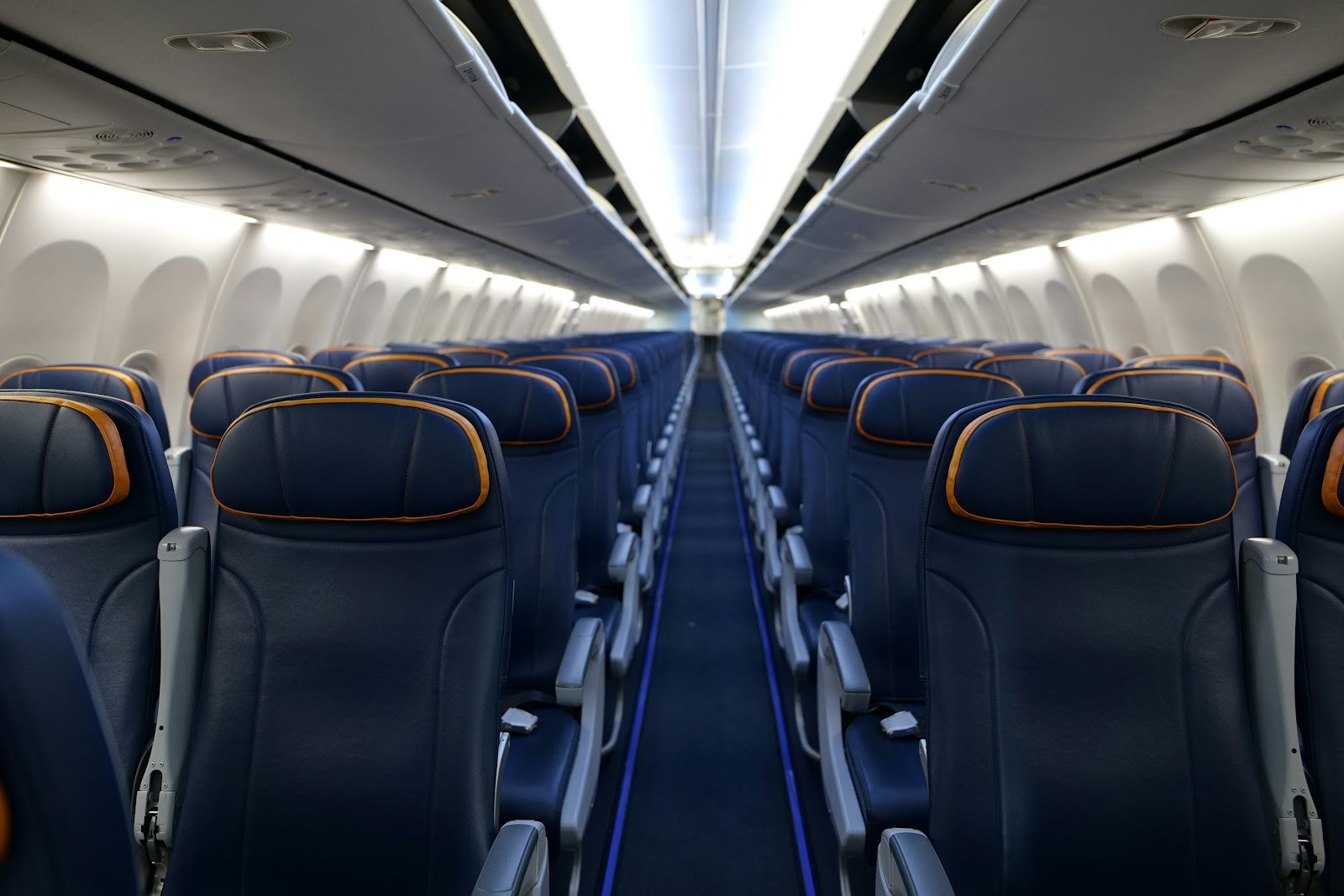 blue and gray airplane seats