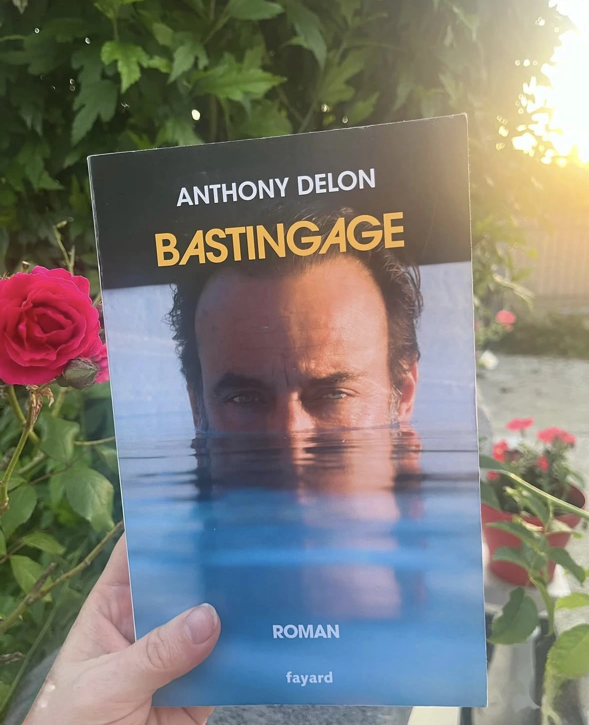 Couverture du livre Bastingage d'Anthony Delon