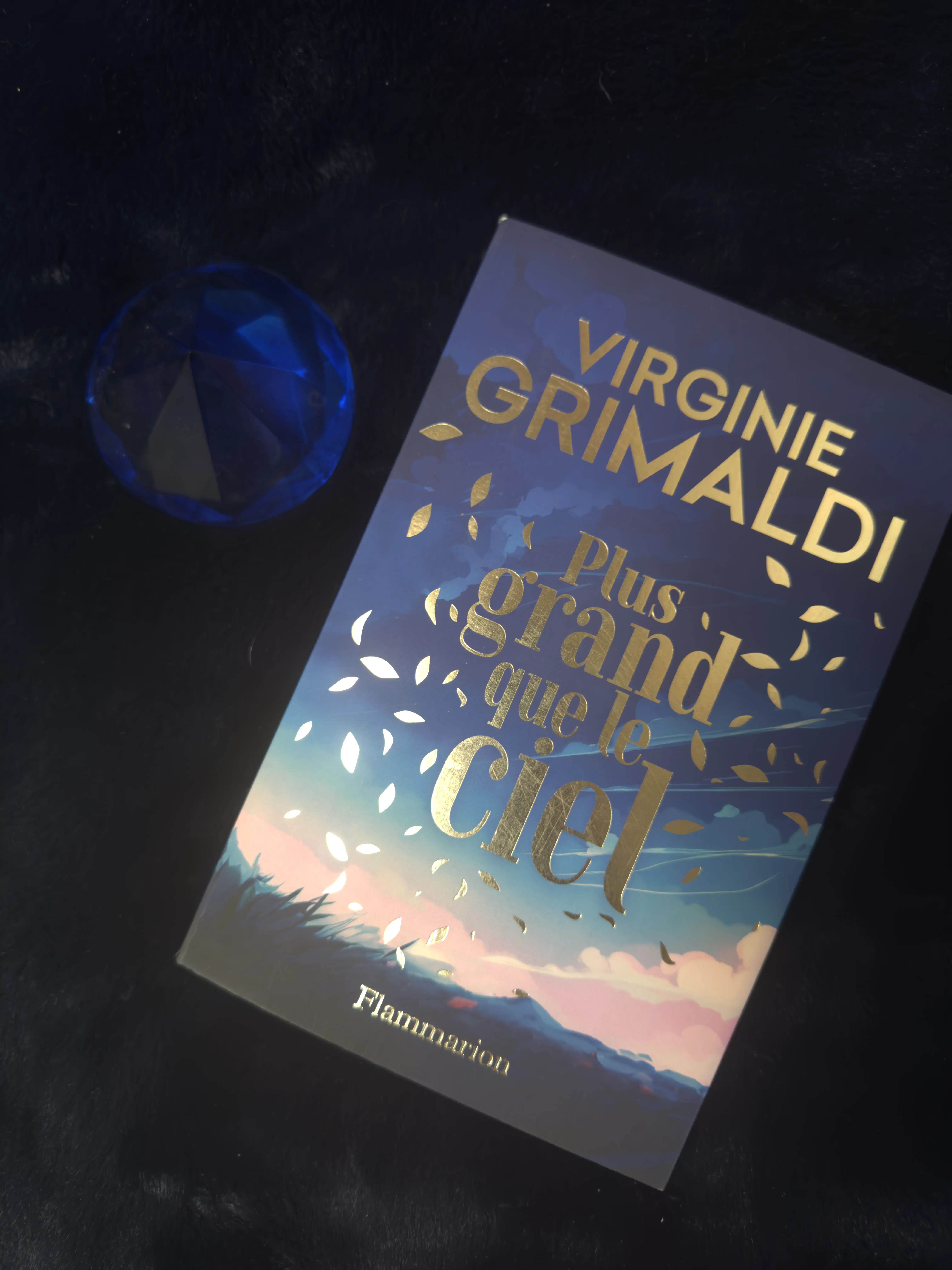 Couverture du livre Plus grand que le ciel de Virginie Grimaldi