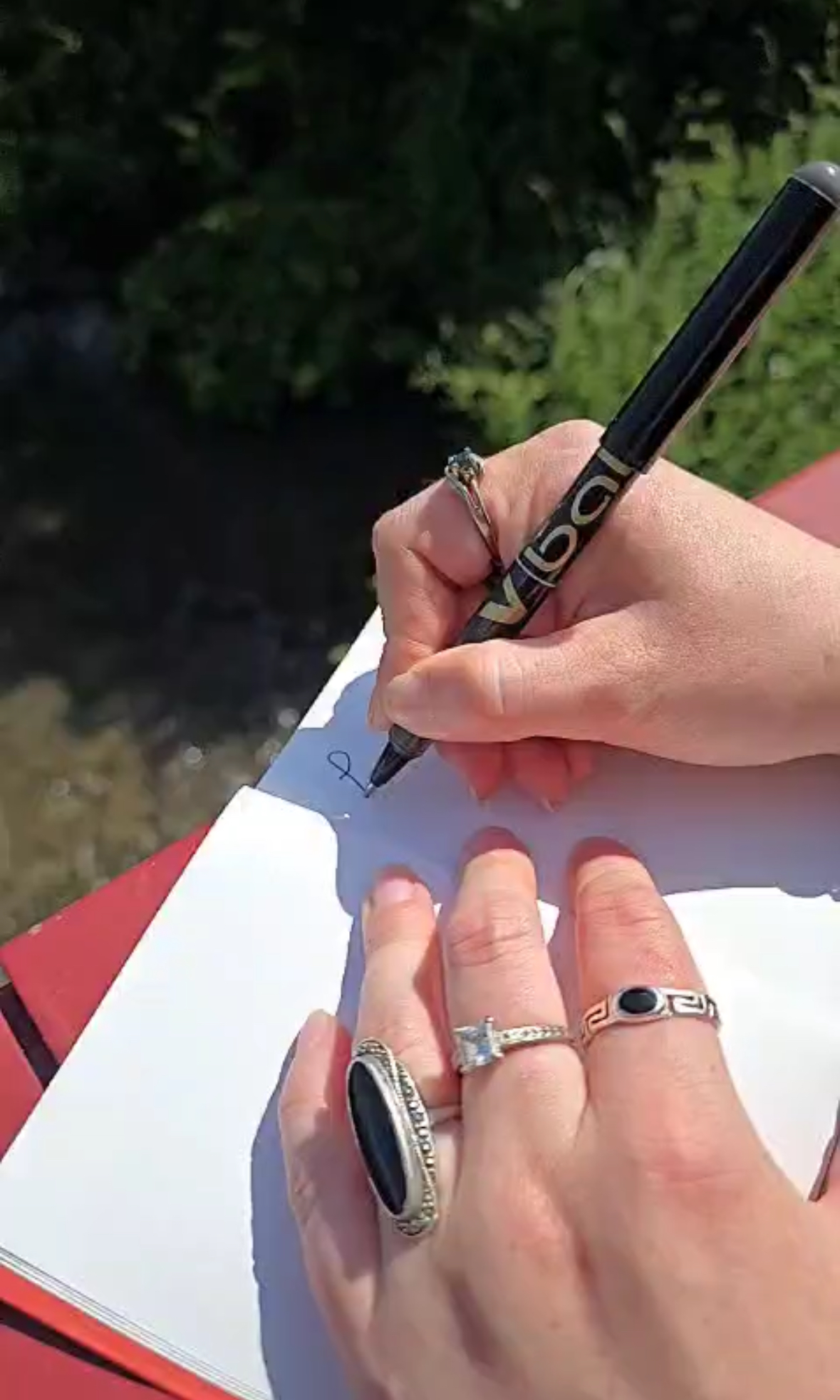 Lisa qui écrit en pleine nature