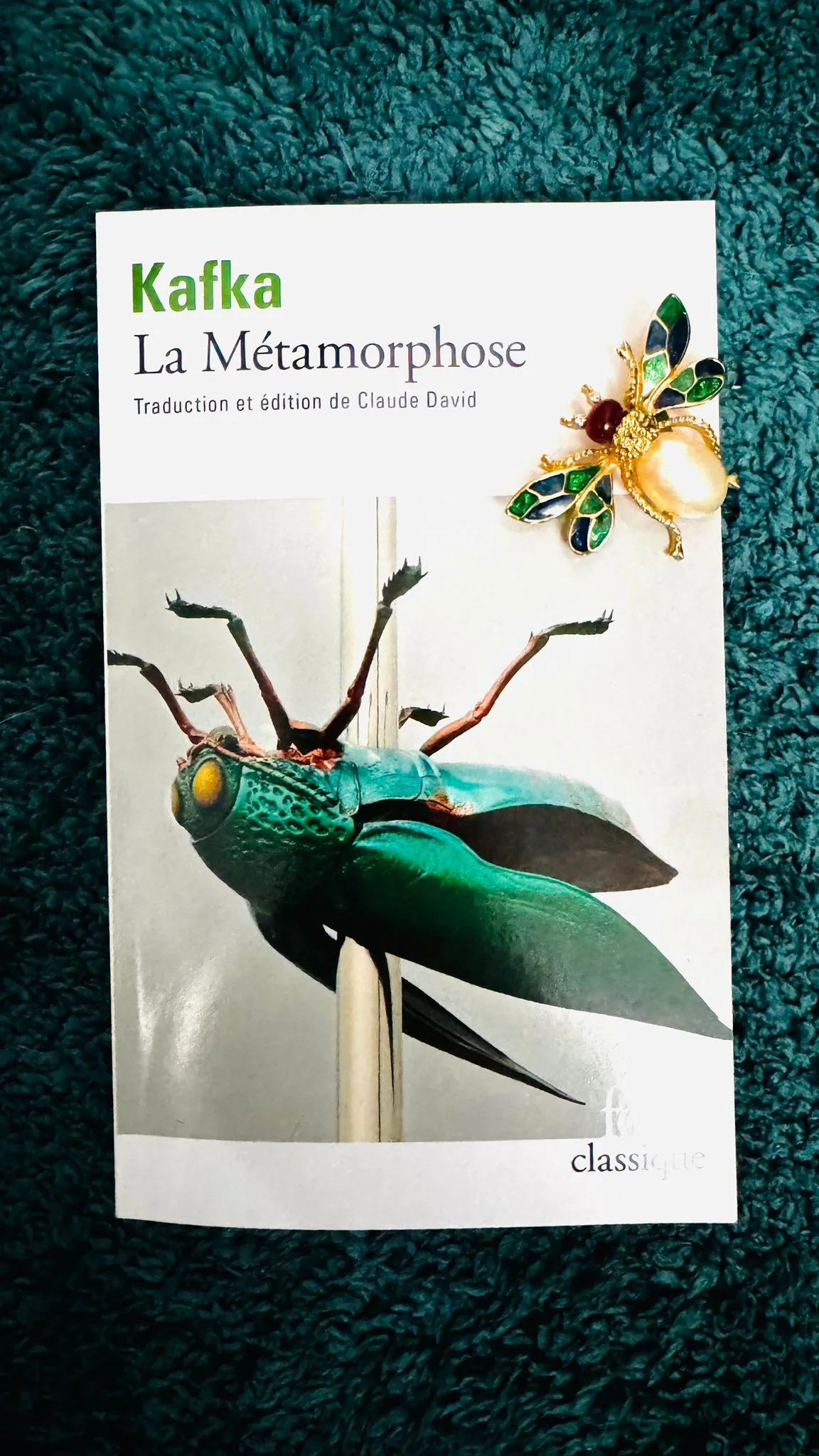 Couverture du livre La métamorphose de Franz Kafka