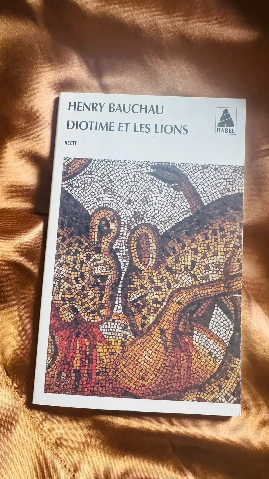 Couverture du livre Diotime et les lions de Henry Bauchau