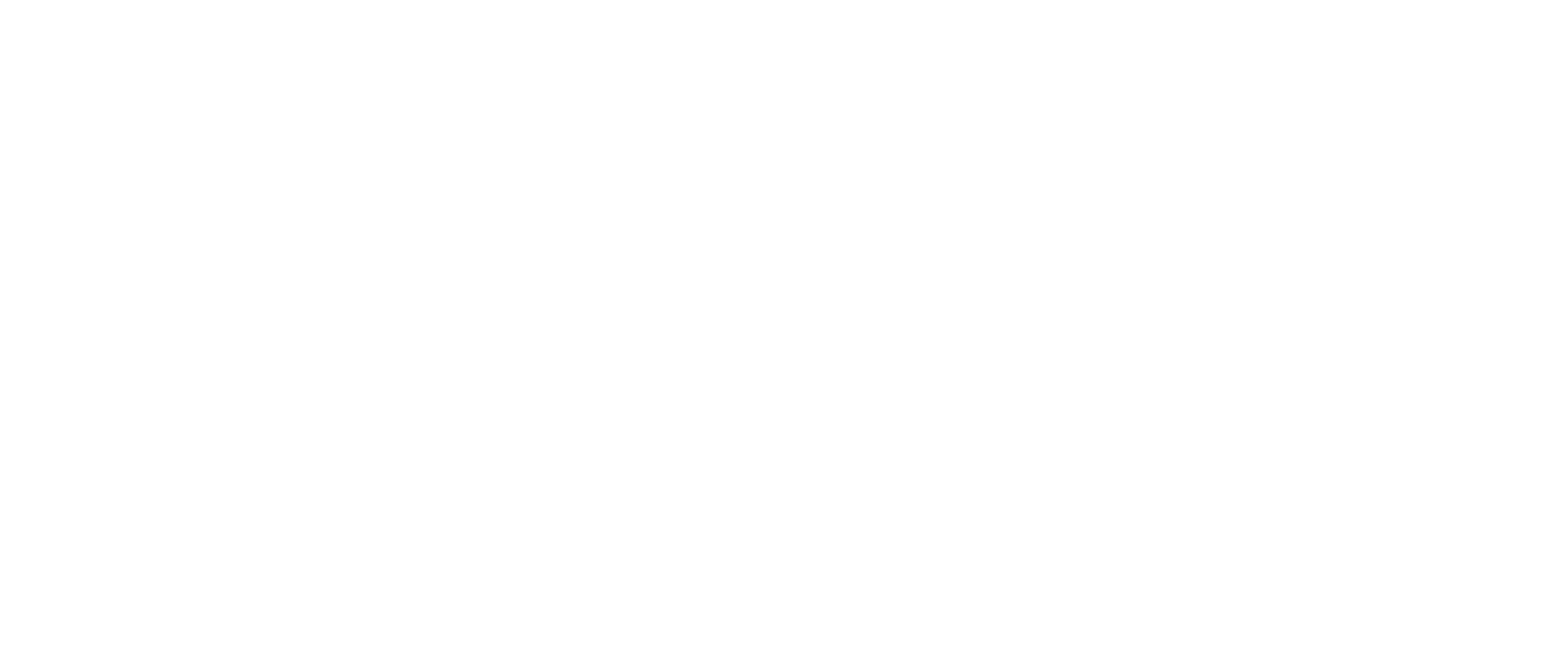 RISE 2027 Annual Conference. Limitless. Together.