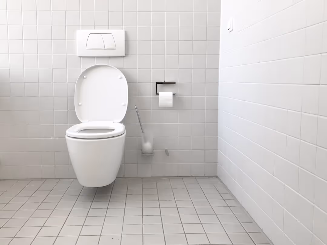 a toilet cistern's internal components with the float valve highlighted - overflow pipe leaking