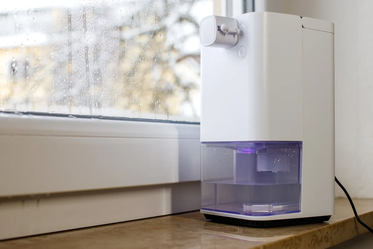 A small, white dehumidifier is placed on a windowsill, with a clear tank collecting water and a large window in the background showing condensation