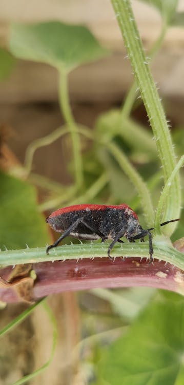 Clean and well-maintained outdoor AC unit - AC diagnostic service
