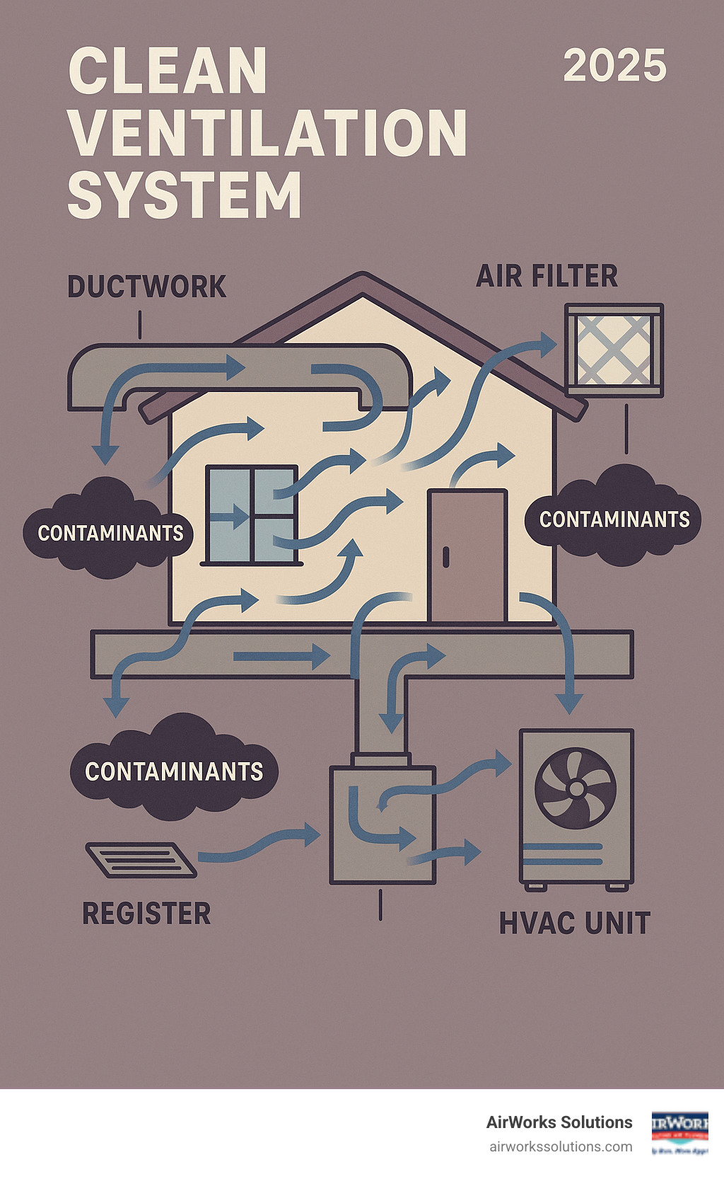 Detailed infographic showing how home ventilation systems circulate air through ducts, filters, and living spaces, with arrows indicating airflow patterns and highlighting where contaminants can accumulate in ductwork, registers, and HVAC components - clean ventilation system infographic 