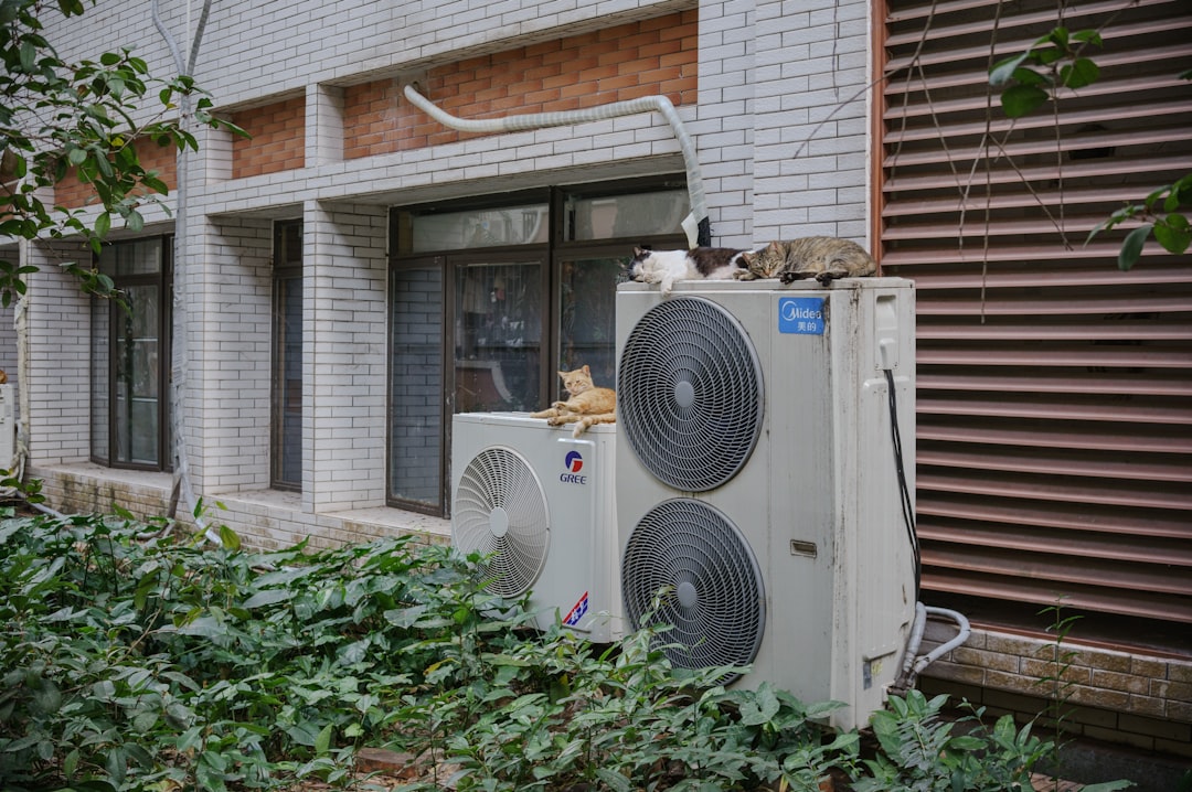 whole home generator unit installed neatly next to a house -  whole home generators