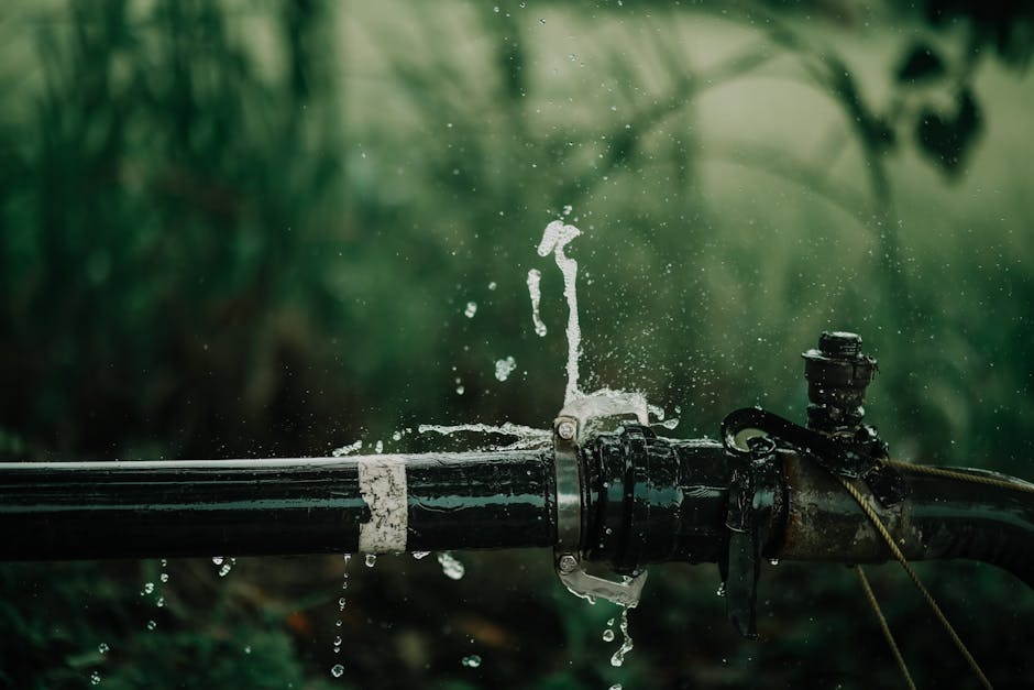 Your Go-To Guide for Water Leak Detection Services in Moorpark and Beyond