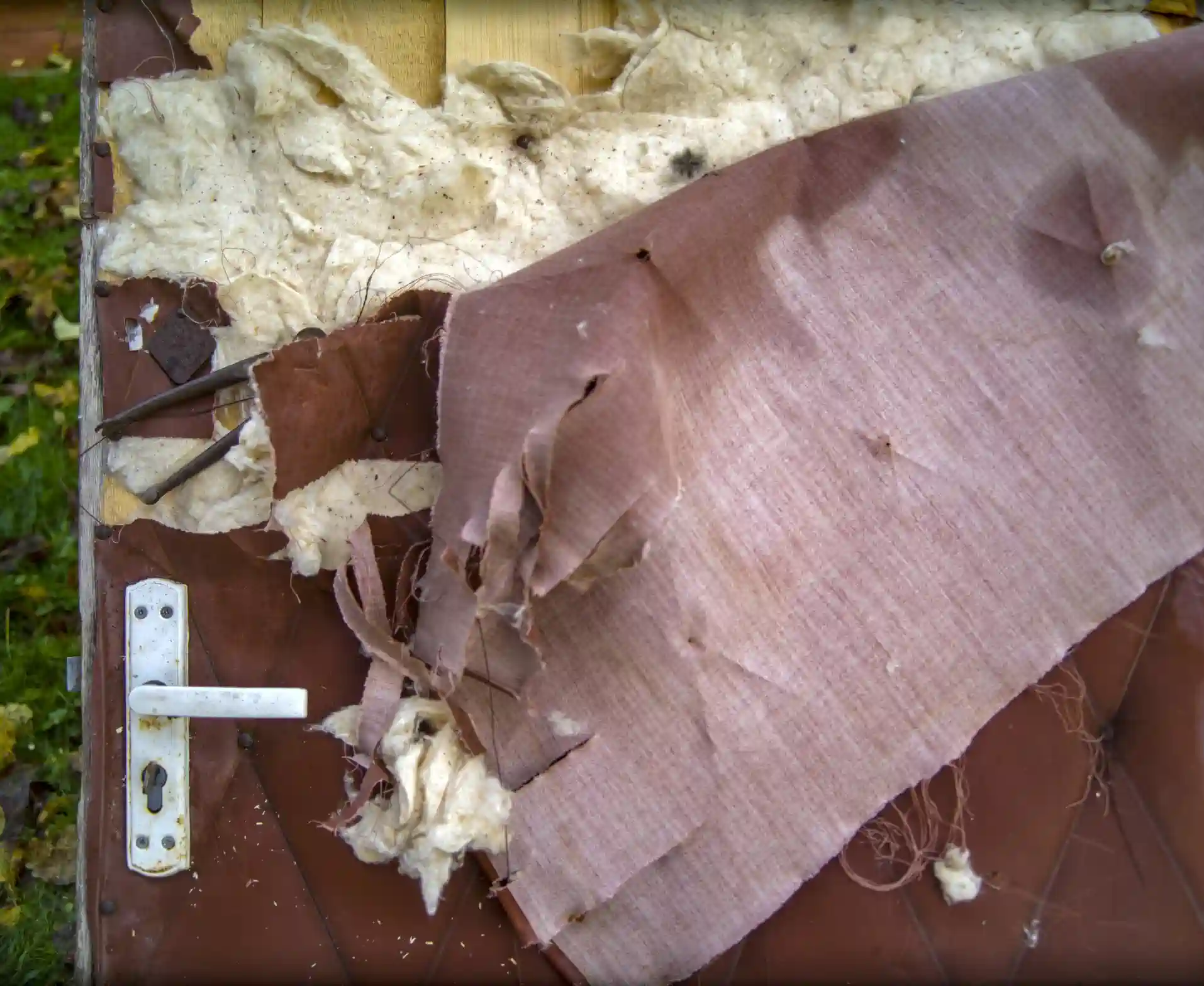  A close-up, high-angle shot of a damaged exterior door or panel shows the process of insulation removal or deterioration. The surface is made of a dark red/brown quilted or padded material (possibly vinyl or leather). This outer layer has been torn and peeled back, revealing a layer of old, discolored, and degraded fiberglass batt insulation underneath. A standard white door handle and keyhole assembly is visible on the left side. Bits of green grass and foliage are visible in the blurred background on the top left.