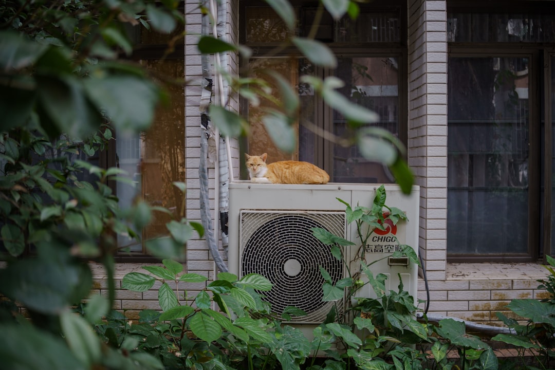 Homeowner listening to a strange noise from their HVAC unit - hvac maintenance moorpark ca