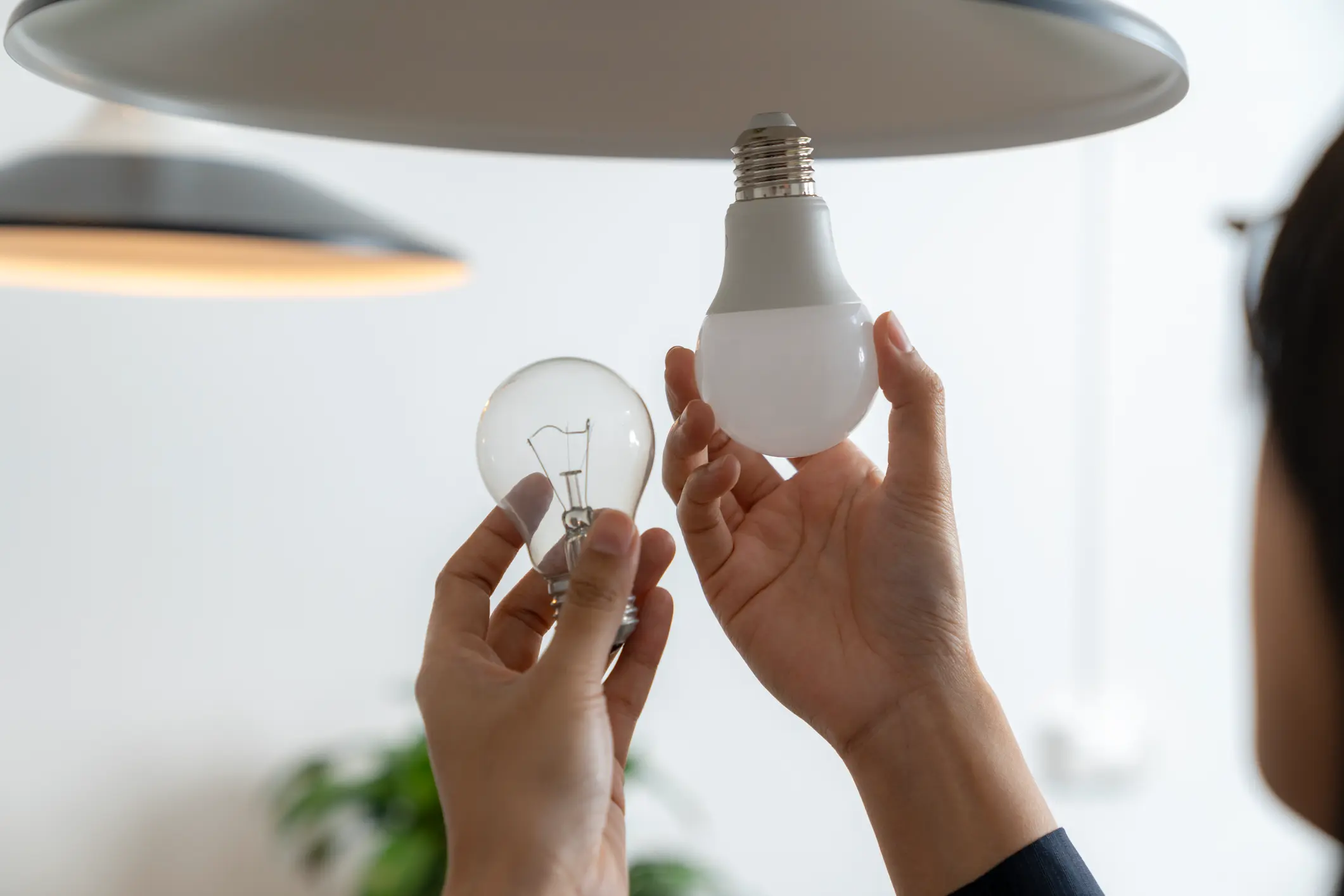 A person holds a traditional incandescent light bulb in one hand and a modern LED light bulb in the other, symbolizing the switch to energy-efficient lighting.