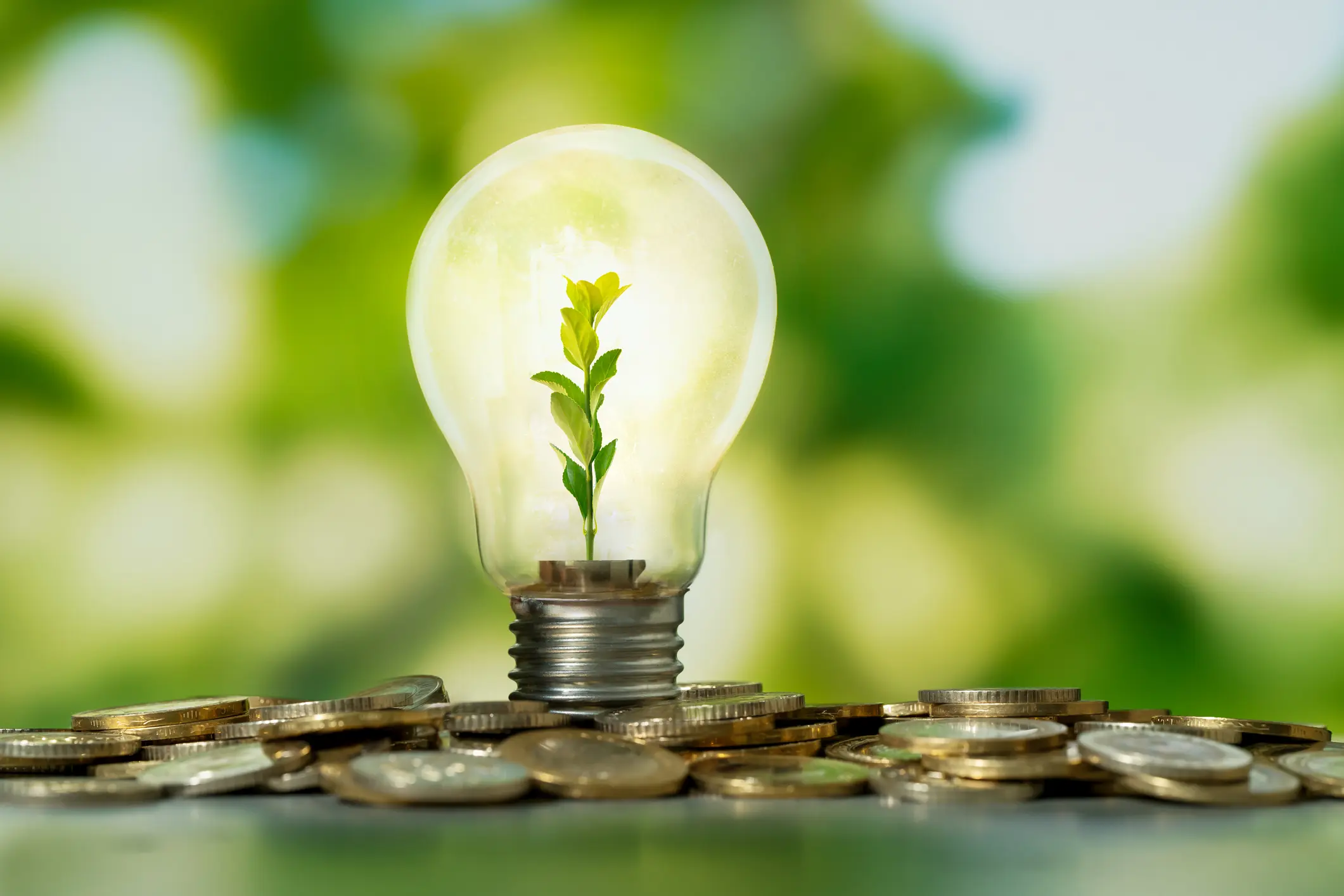 A seedling sprouts inside a glowing light bulb, which is placed on a pile of coins, against a green, blurred background, symbolizing green energy investment.