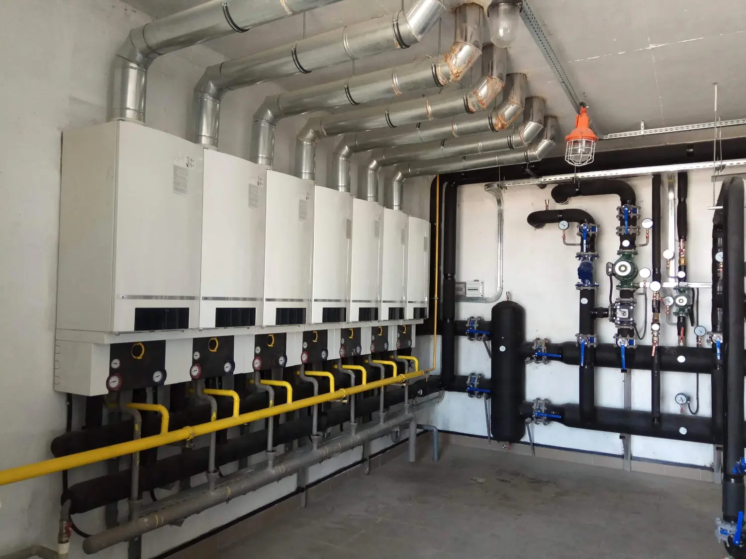 A row of wall-mounted commercial boilers with silver exhaust flues, yellow gas lines, and black insulated piping.