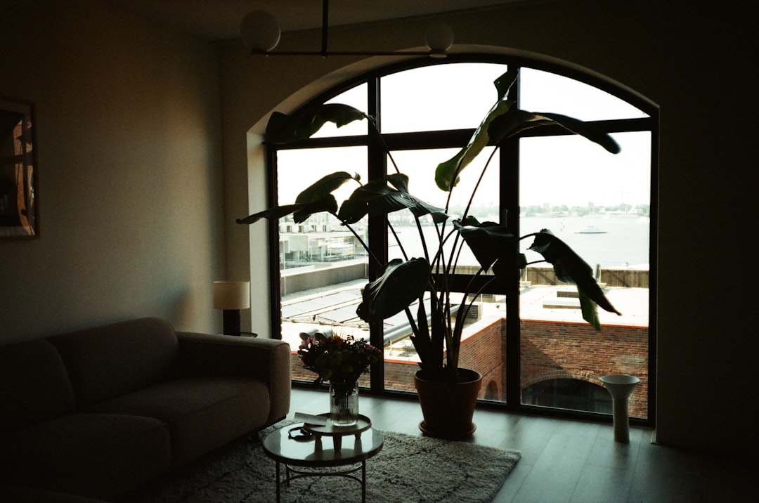 Which local companies specialize in installing a whole house ventilation system in the Ventura area?