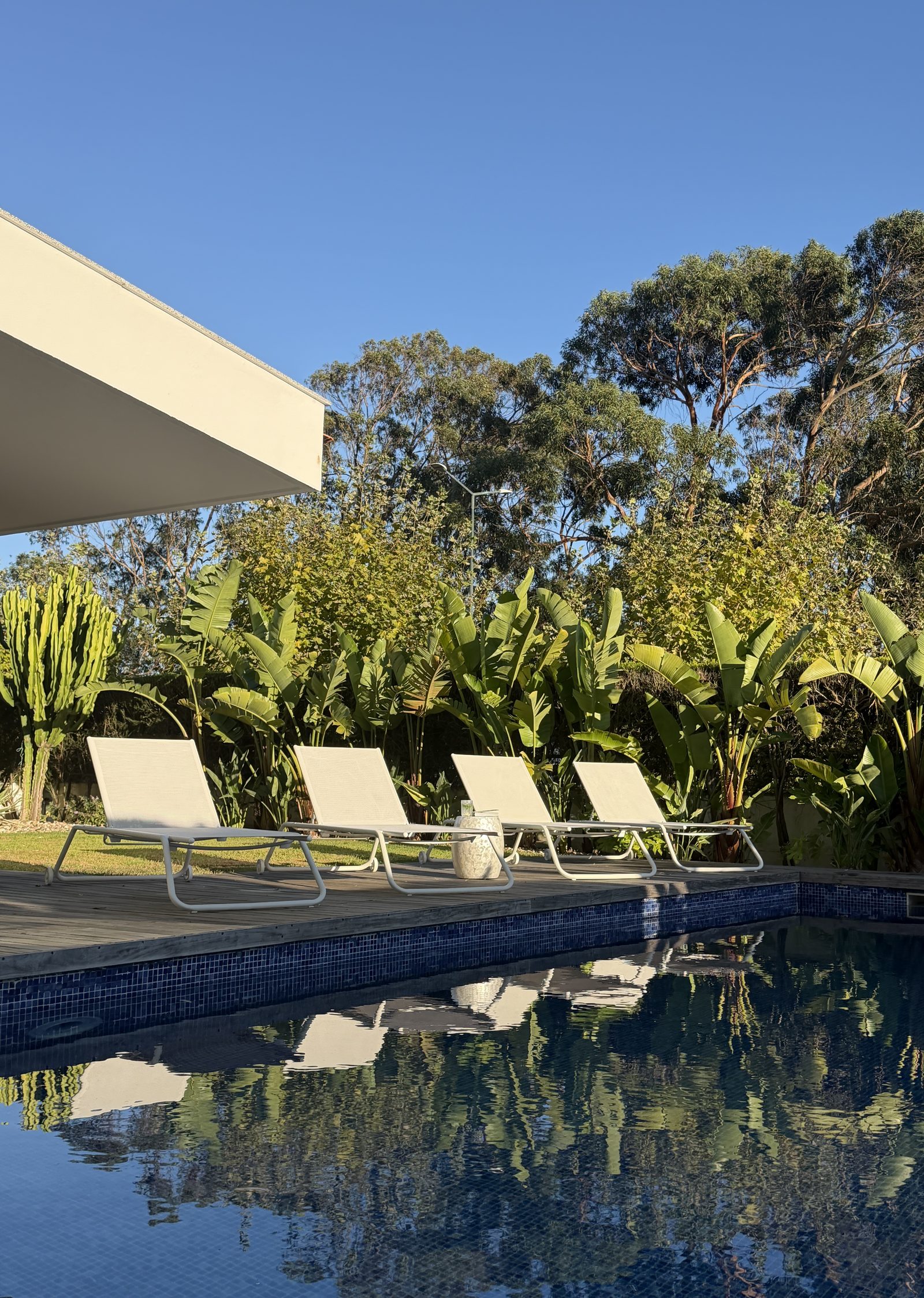 Four white lounge chairs on a wooden deck beside a blue-tiled swimming pool reflecting the chairs and surrounding green tropical plants under a clear blue sky.
