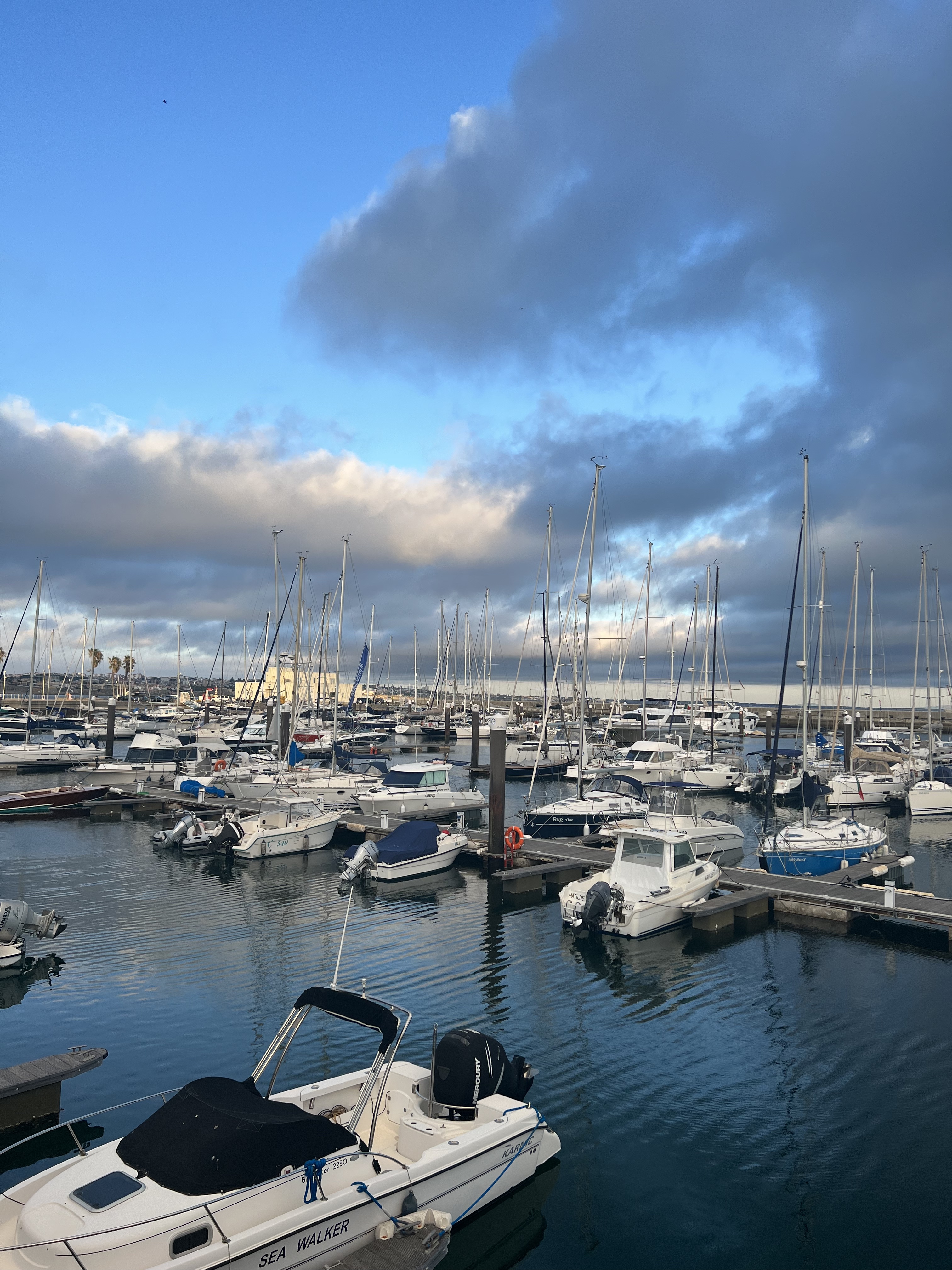 Marina with numerous docked sailboats and motorboats under a partly cloudy sky reflecting on calm water.