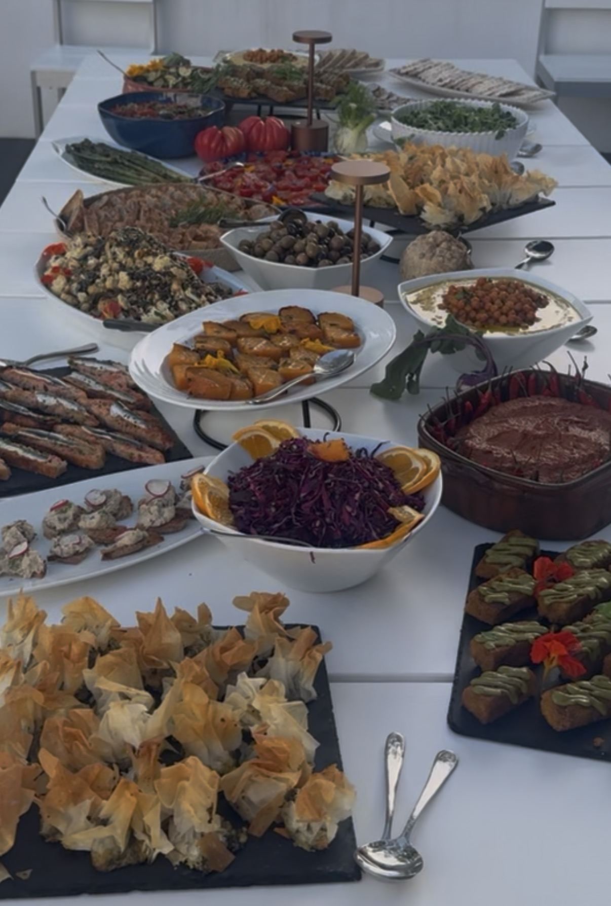 A table with a variety of plated appetizers and salads including stuffed phyllo pastries, grilled bread with green sauce, purple cabbage salad with orange slices, bowls of olives, roasted vegetables, and other mixed vegetable and grain dishes.
