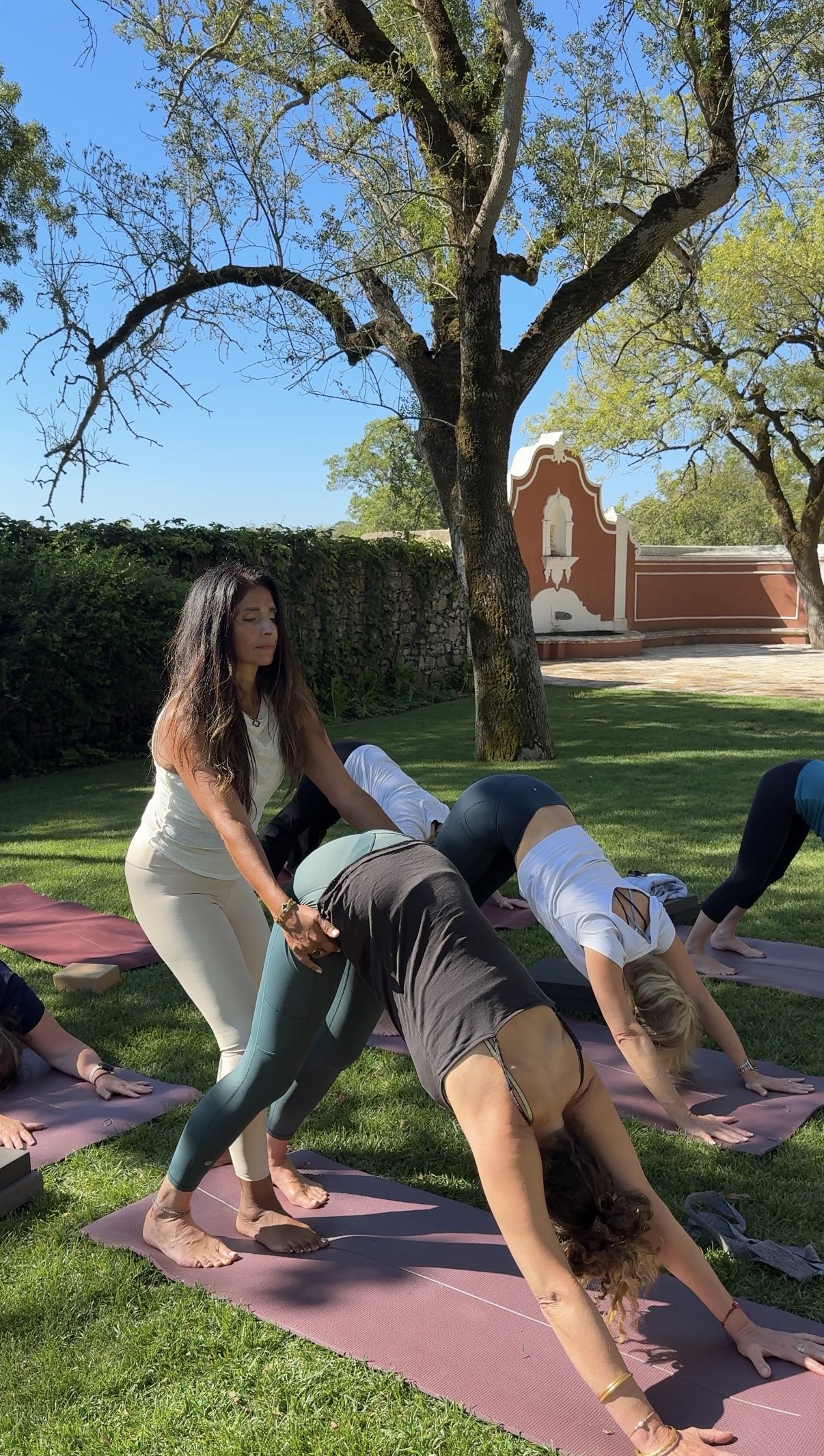 Outdoor yoga class with a female instructor in beige pants assisting a participant in a downward dog pose on a purple mat on the grass under trees and a clear blue sky.