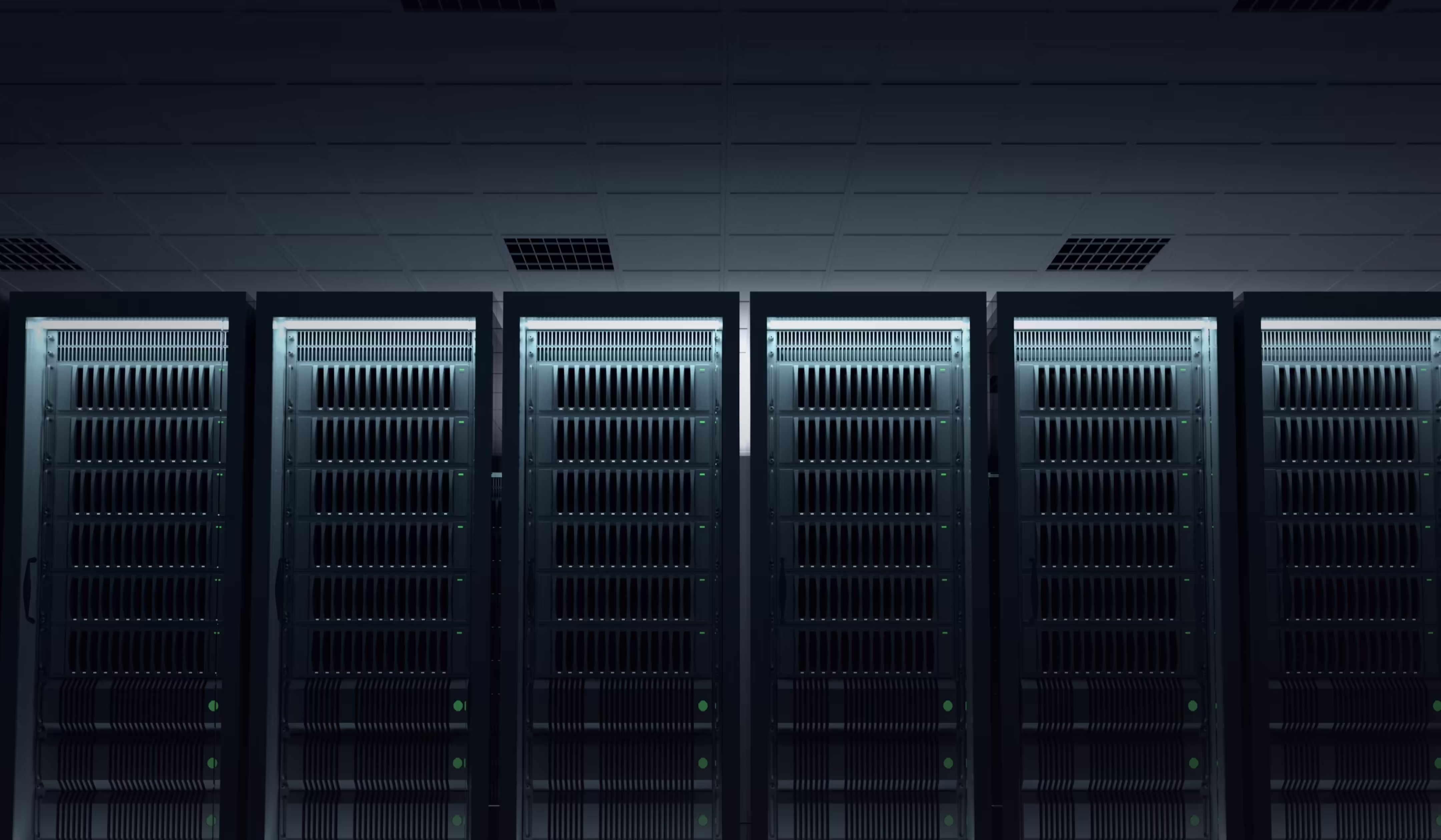 Colocation (Tier 4+ Facilities)