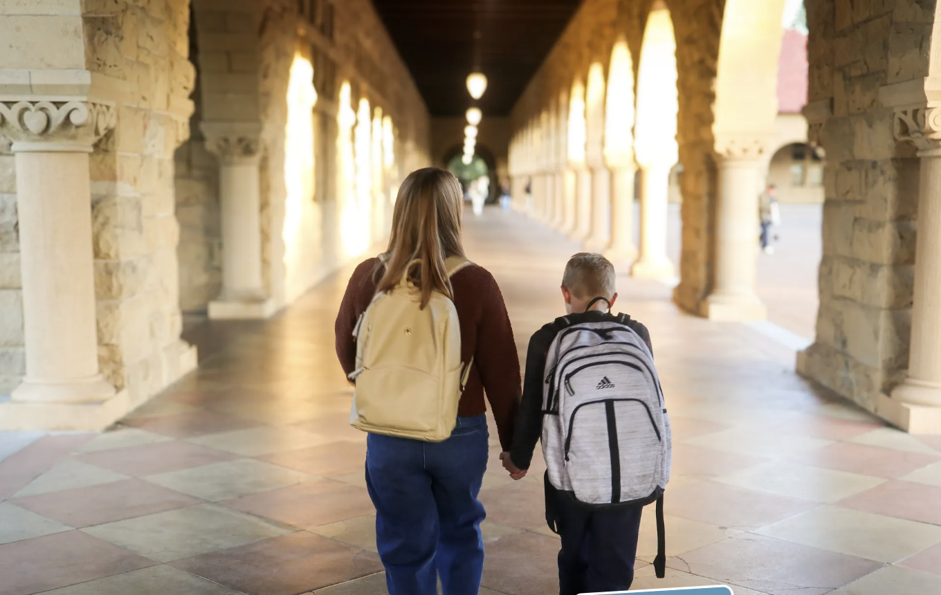 image of a diverse assortment of cake slices