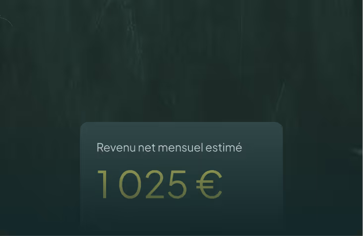 Estimated net monthly income of 1025 euros displayed on a dark green background.