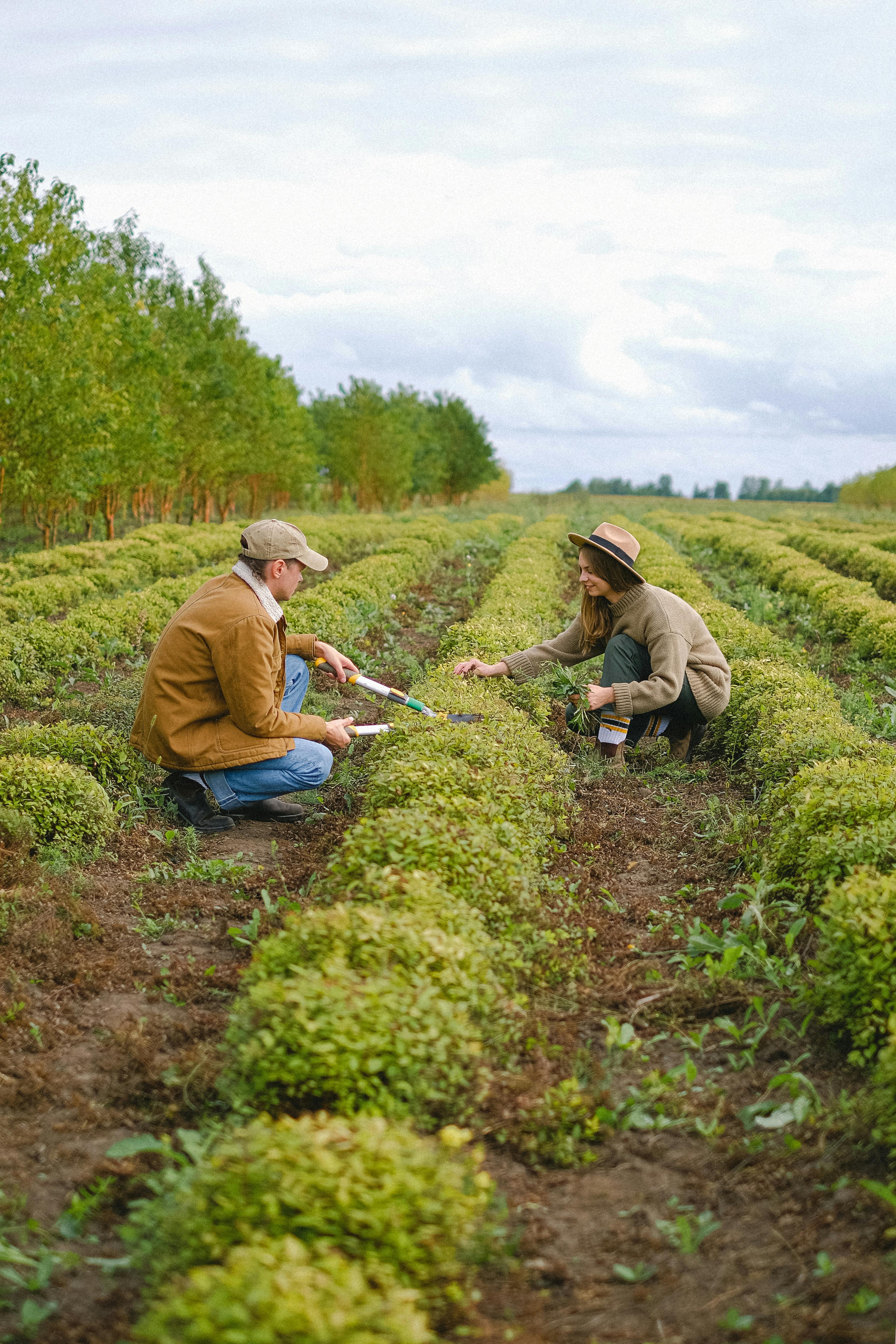 Accompagner les jardiniers dans le chiffrage de leurs services d'aménagement paysager.