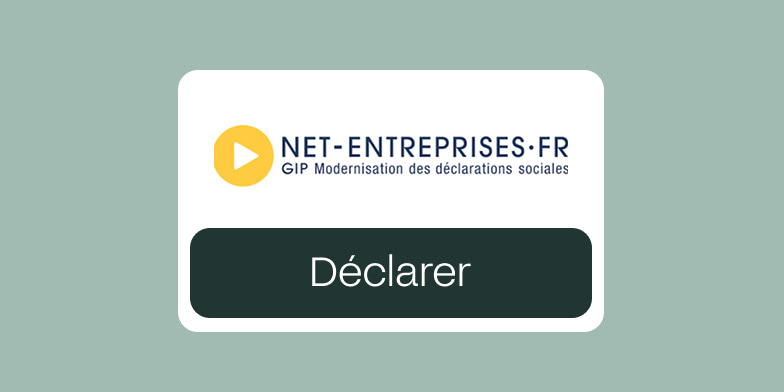 net entreprise