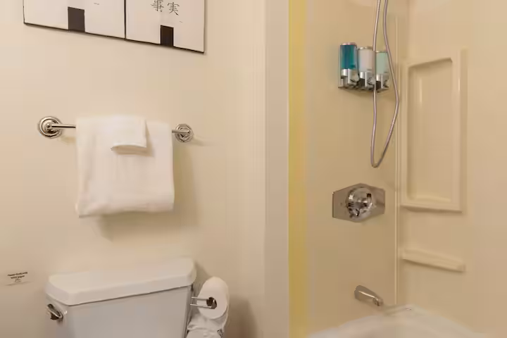 toilet and front half of shower