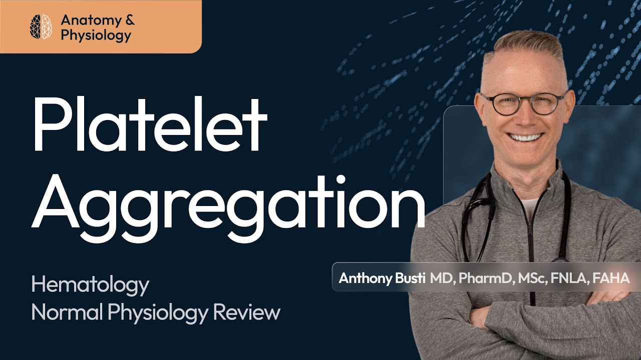 Platelet Aggregation in Thrombosis: Clinical Essentials Thumbnail Image