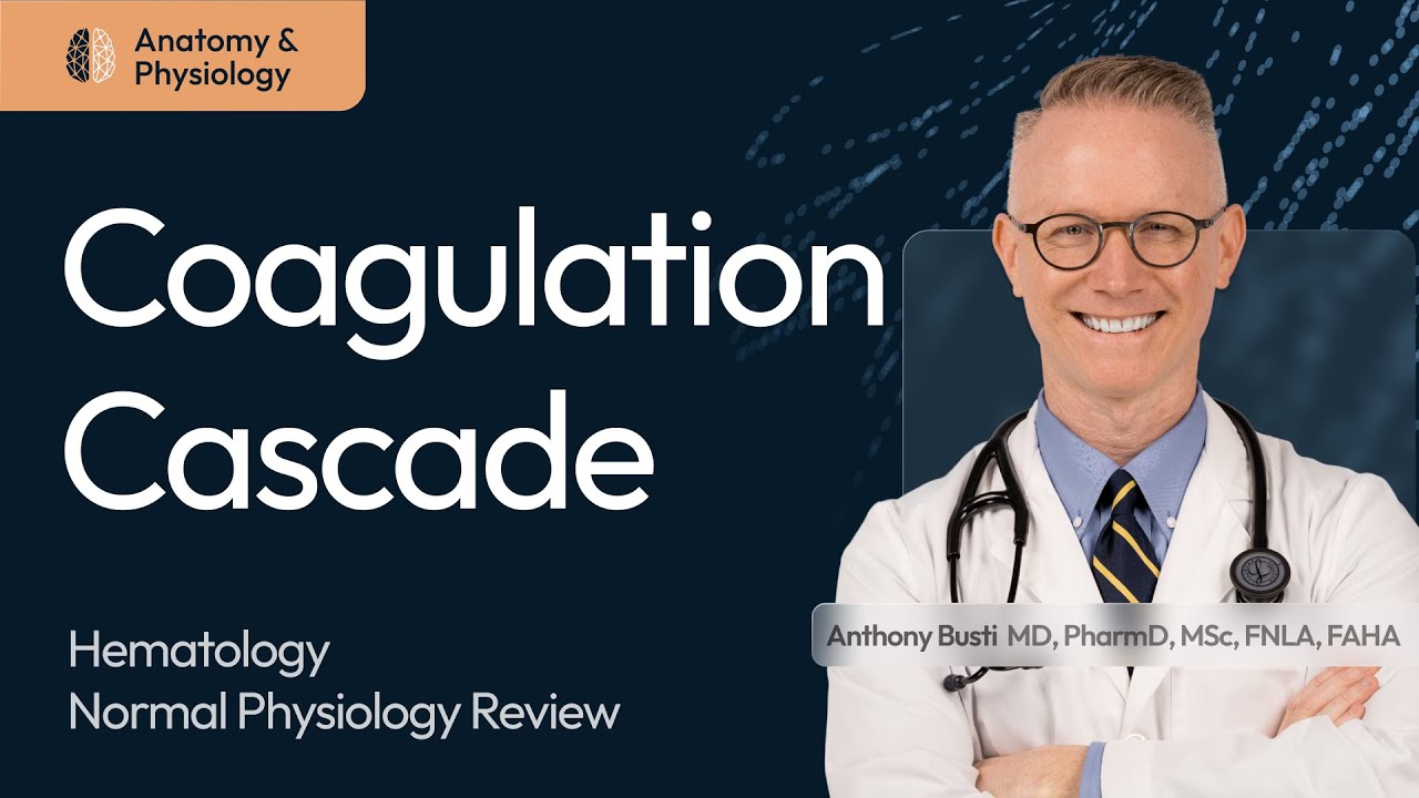 Coagulation Cascade in Thrombosis: Physiology Made Easy Thumbnail Image