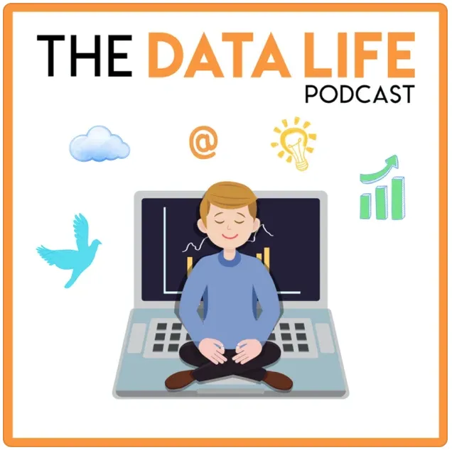 The Data Life Podcast cover