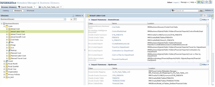 Informatica Metadata Manager