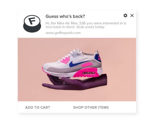 Back_in_stock_web_push_notification