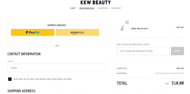 shopify store checkout - payment options