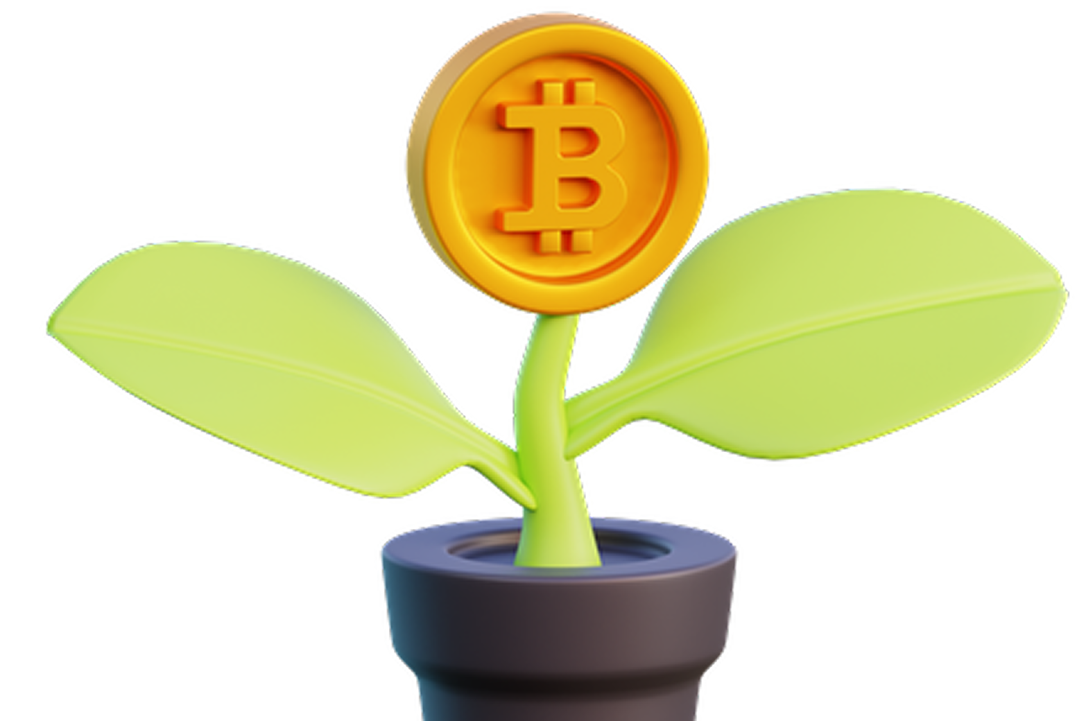 Image of a Plant with two leaves and a Bitcoin 