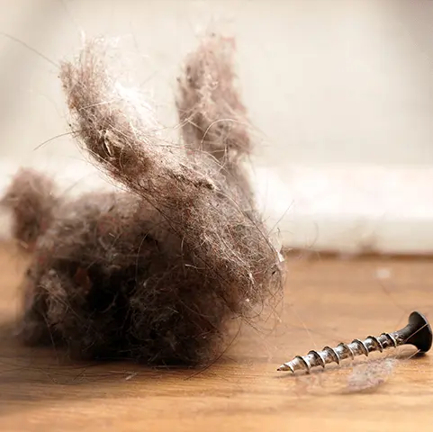 Dust bunny and screw on wooden surface, illustrating the importance of clean air filters for HVAC efficiency and indoor air quality.