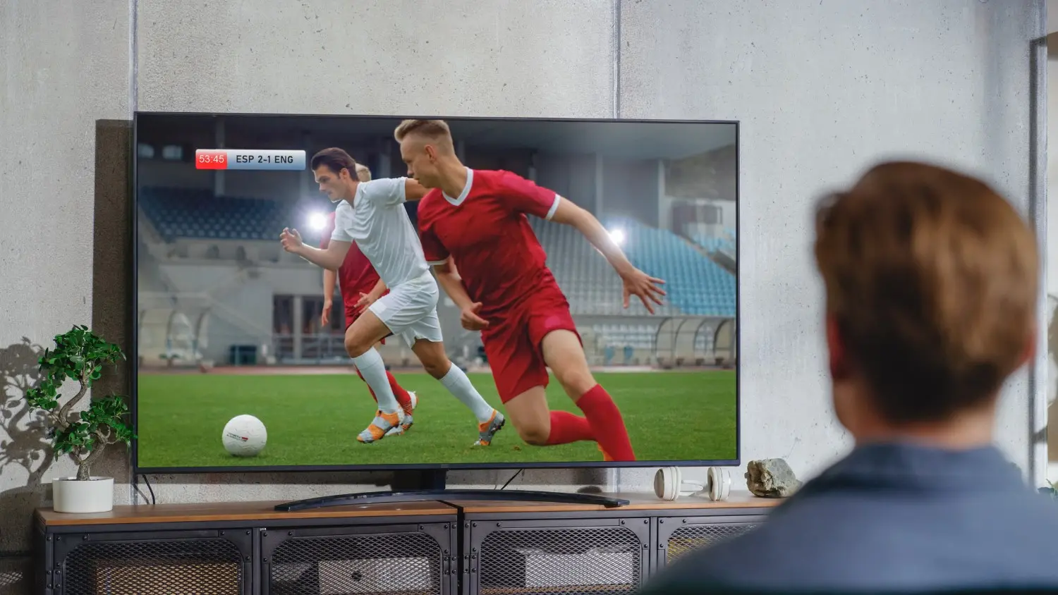 Home Entertainment Services in Champlin, MN
