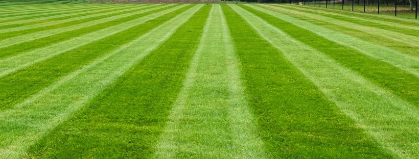 Orchard Grove Primary School Sports Pitches