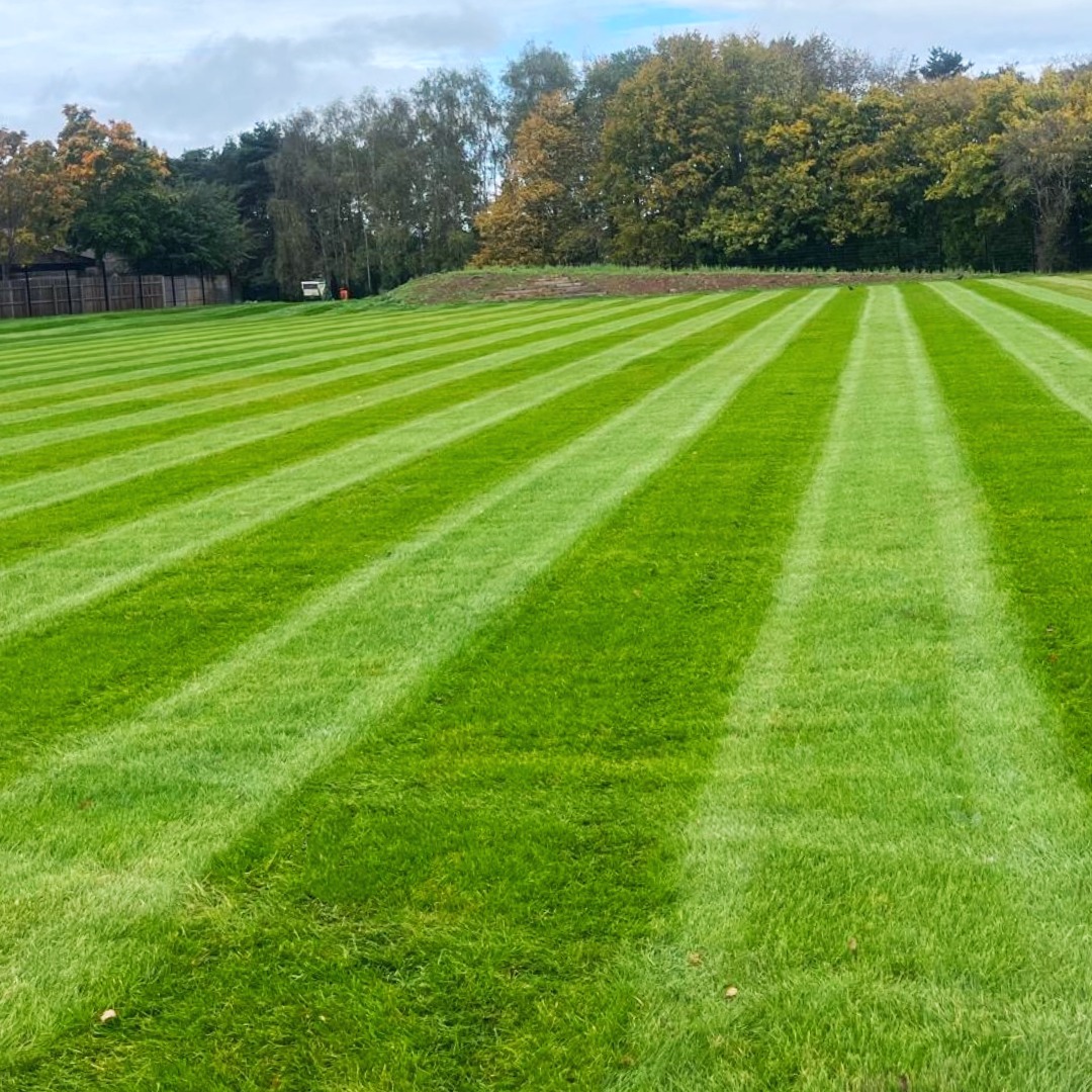 Picture showing completed sports pitch area