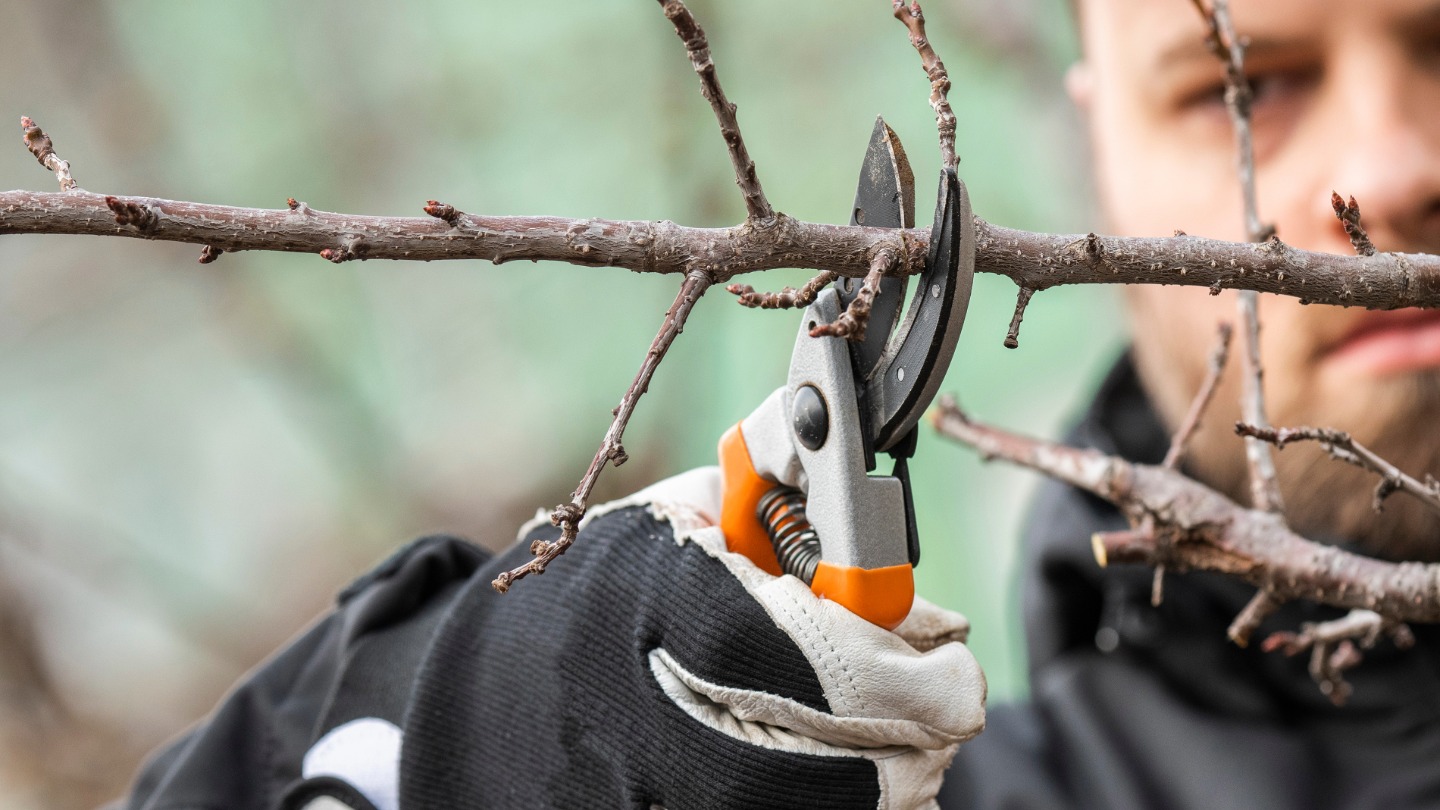 The importance of maintenance