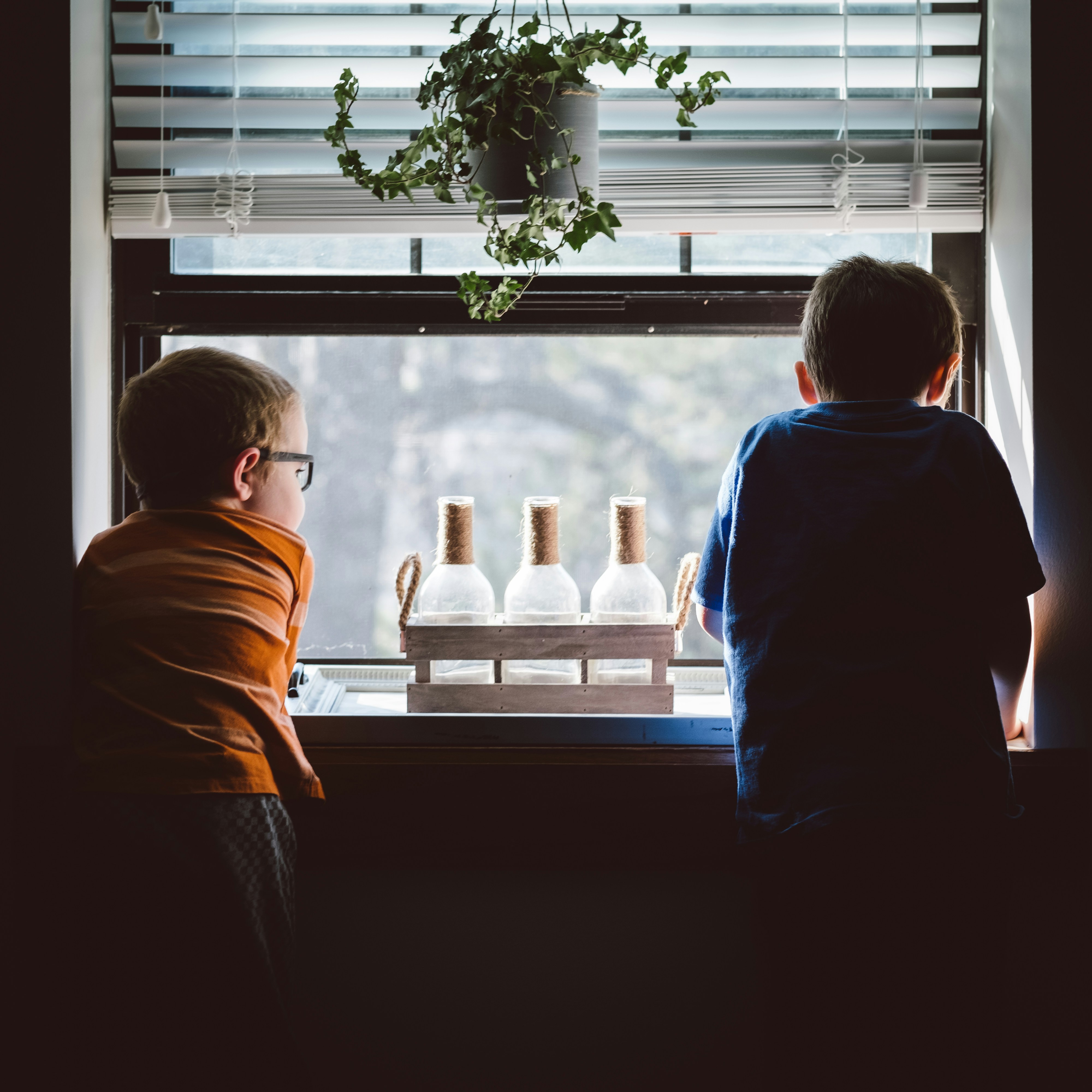 Two boys looking out a window with three decorative bottles and a hanging plant above them.
