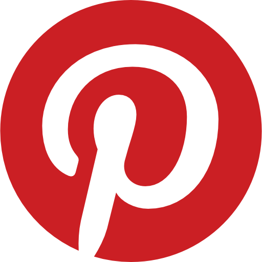 Link to social media account for little brains and bodies - pinterest
