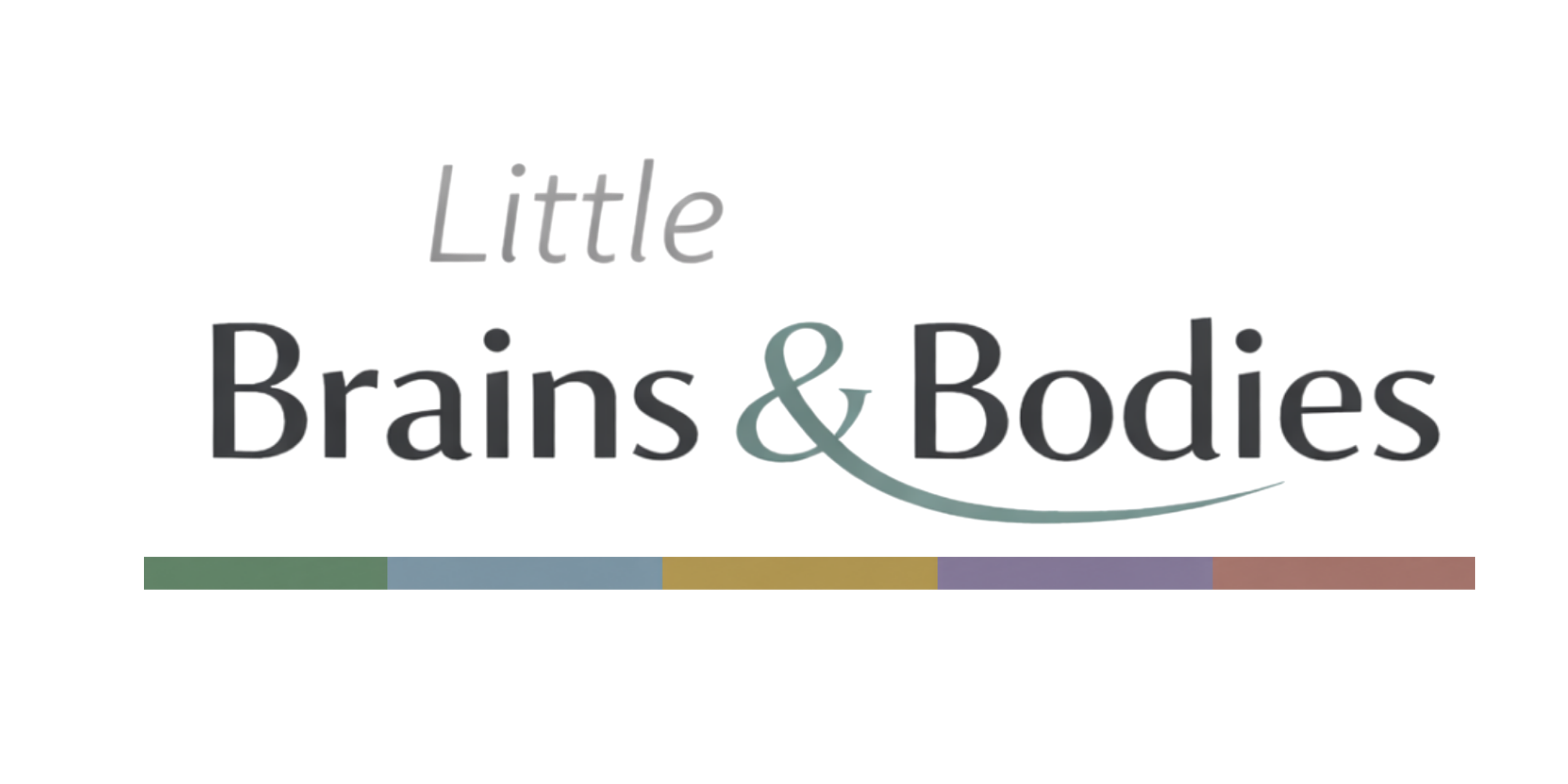 Text logo reading 'Little Brains & Bodies' with a stylized ampersand and underline.