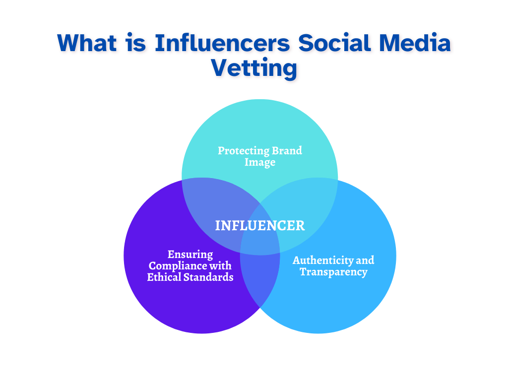 What is influencers social media vetting