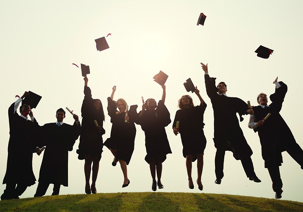 2. Strategy & Improvement Planning