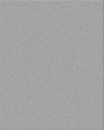 RAL 9006
