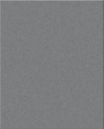 RAL 9007