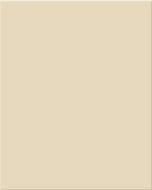 RAL 1013 mat