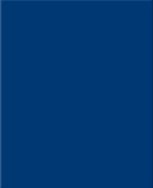 RAL 5002 mat